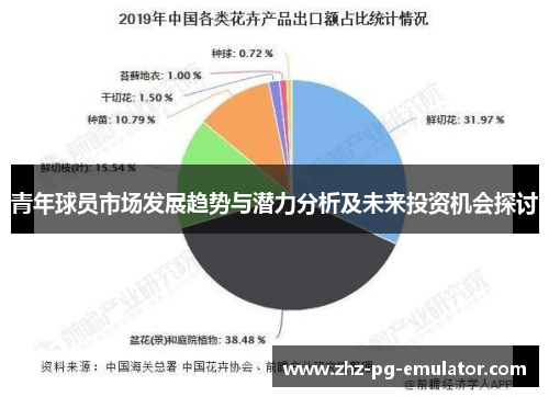 青年球员市场发展趋势与潜力分析及未来投资机会探讨