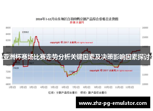 亚洲杯赛场比赛走势分析关键因素及决策影响因素探讨